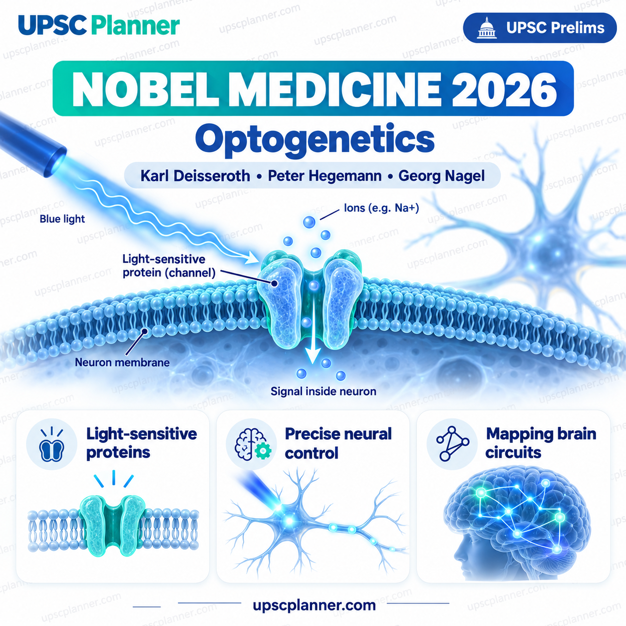 Nobel Medicine 2026: Optogenetics